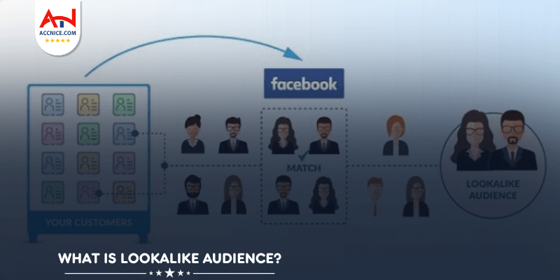 What is Lookalike Audience?