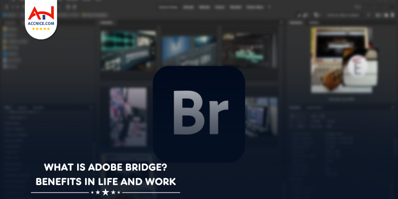 What is Adobe Bridge 2024? Functions and Benefits in Life and Work