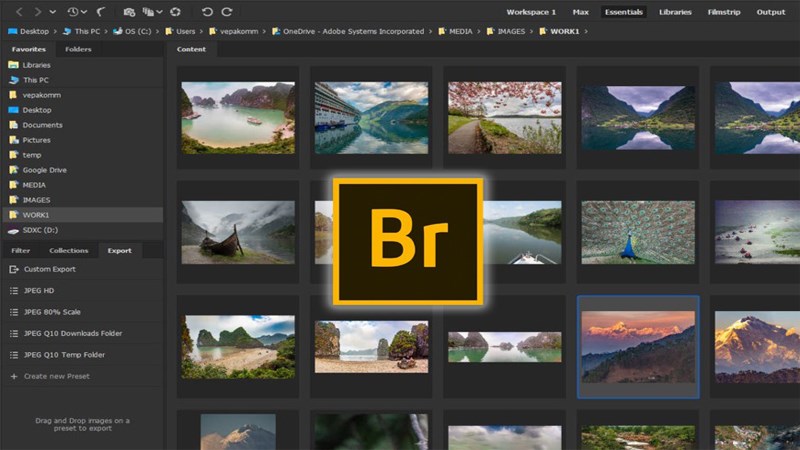 Adobe Bridge 2024