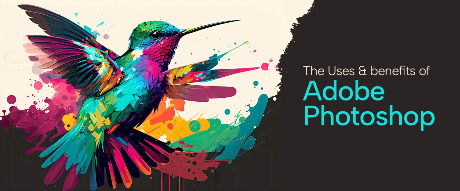 Benefits of Adobe Photoshop 2024 in Daily Life​​​​